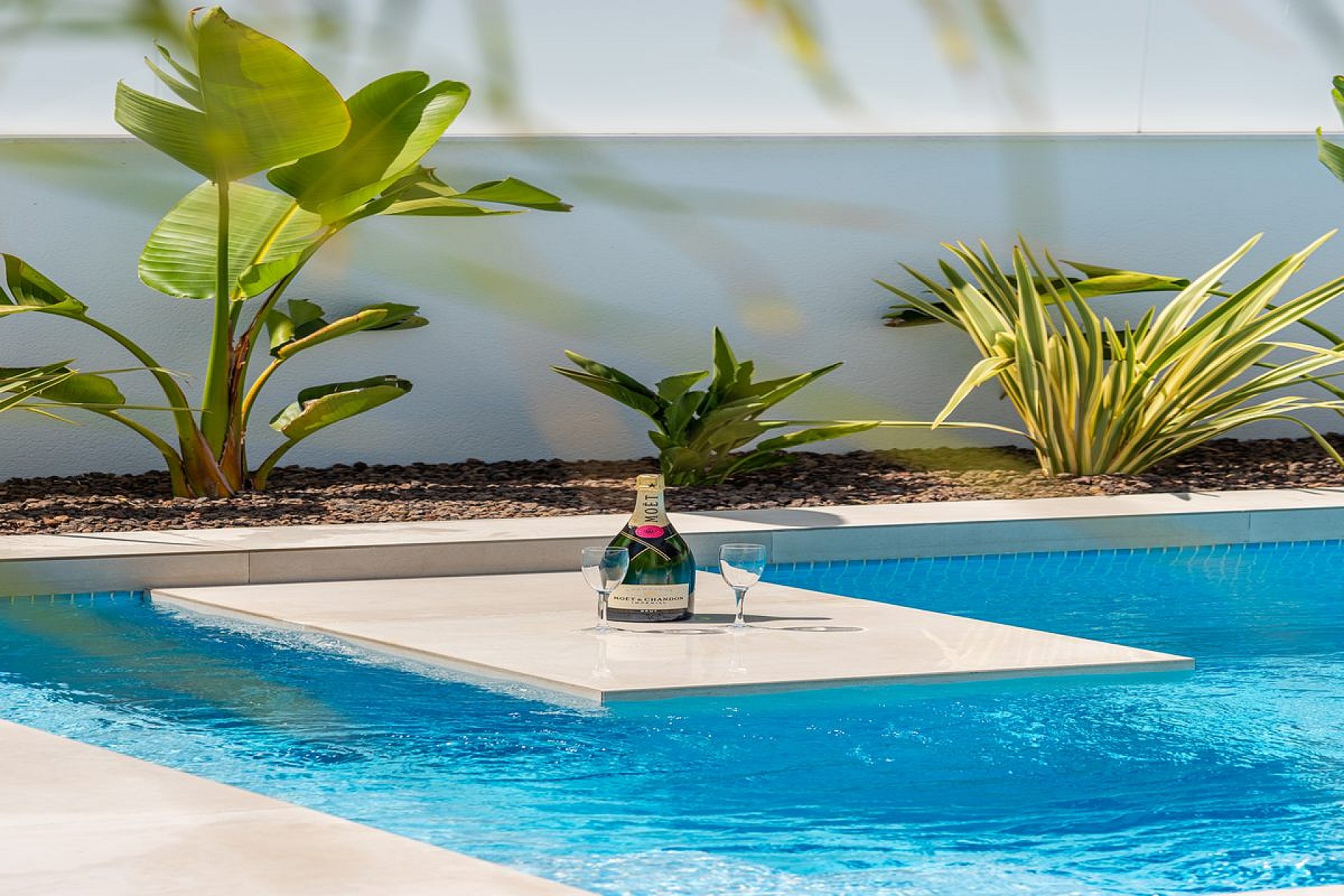 w alta resolucion 21.jpg