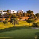 w g2cf8yb3bm33qtssuhr7.jpeg