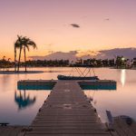 w santa rosalia website 10 899x600 q80 watermark5025525525530bottom right.jpg