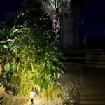 w 19. jardineria iluminacion.jpg