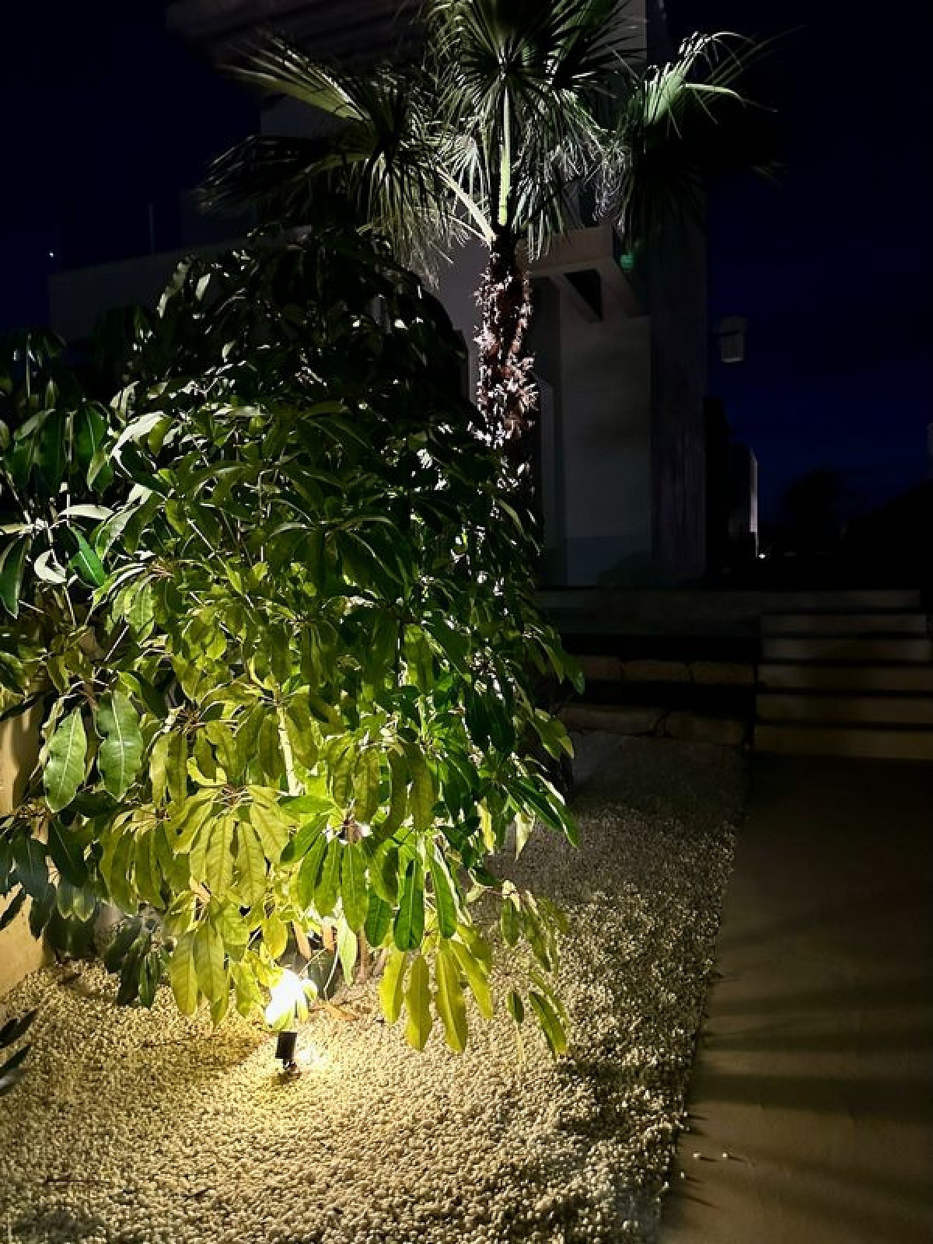 w 19. jardineria iluminacion.jpg