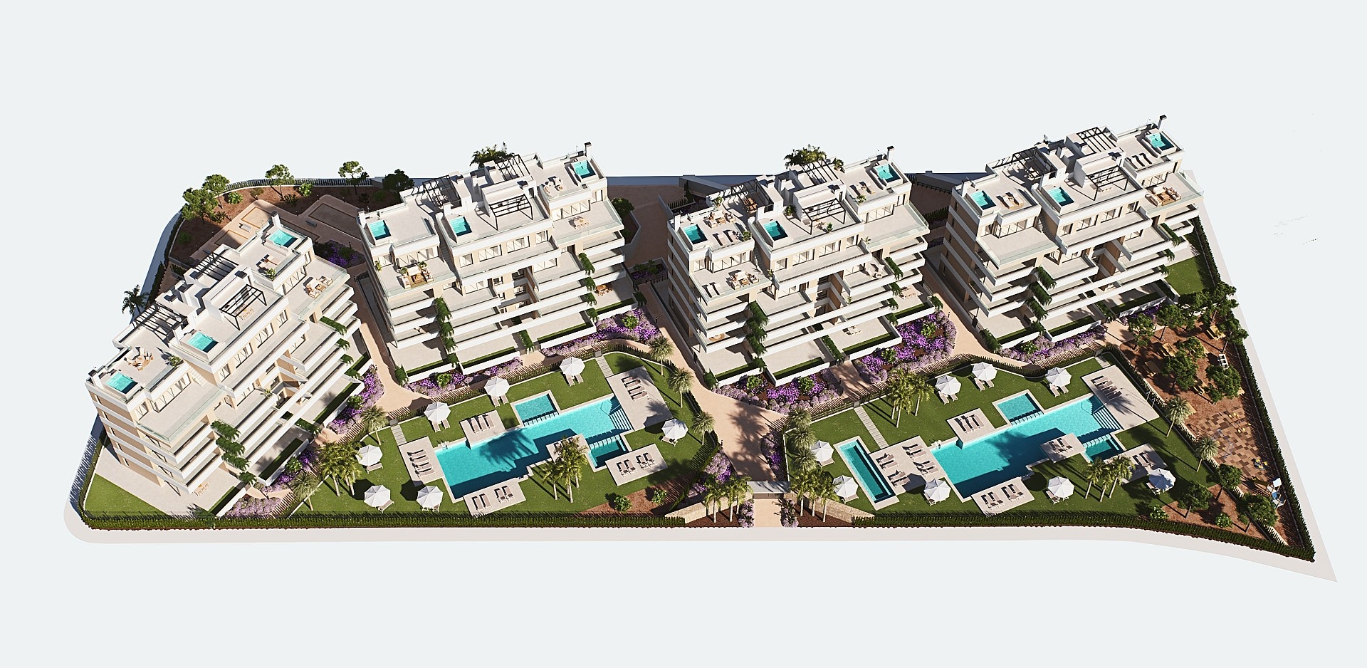 w olivo 19 aerea semi cenital .jpg