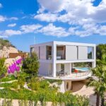 w pebble an extraordinary perspective.jpg